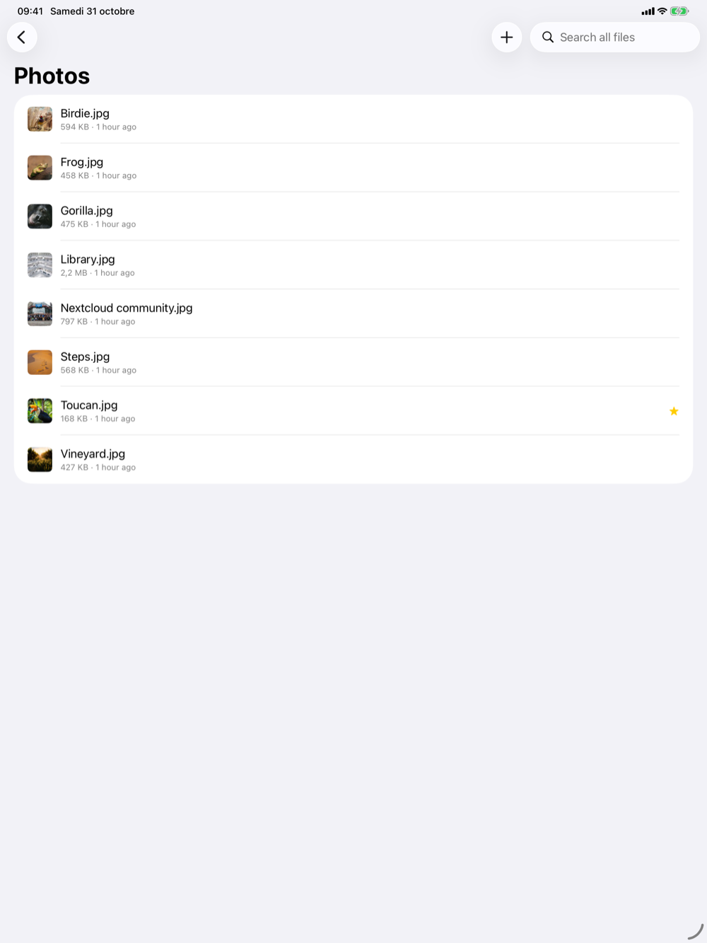Plume on iPad: a folder of photos with their thumbnails